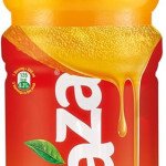 600ML MAAZA PET 24BT
