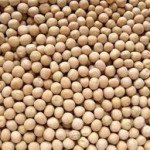 Matar khadi 1KG