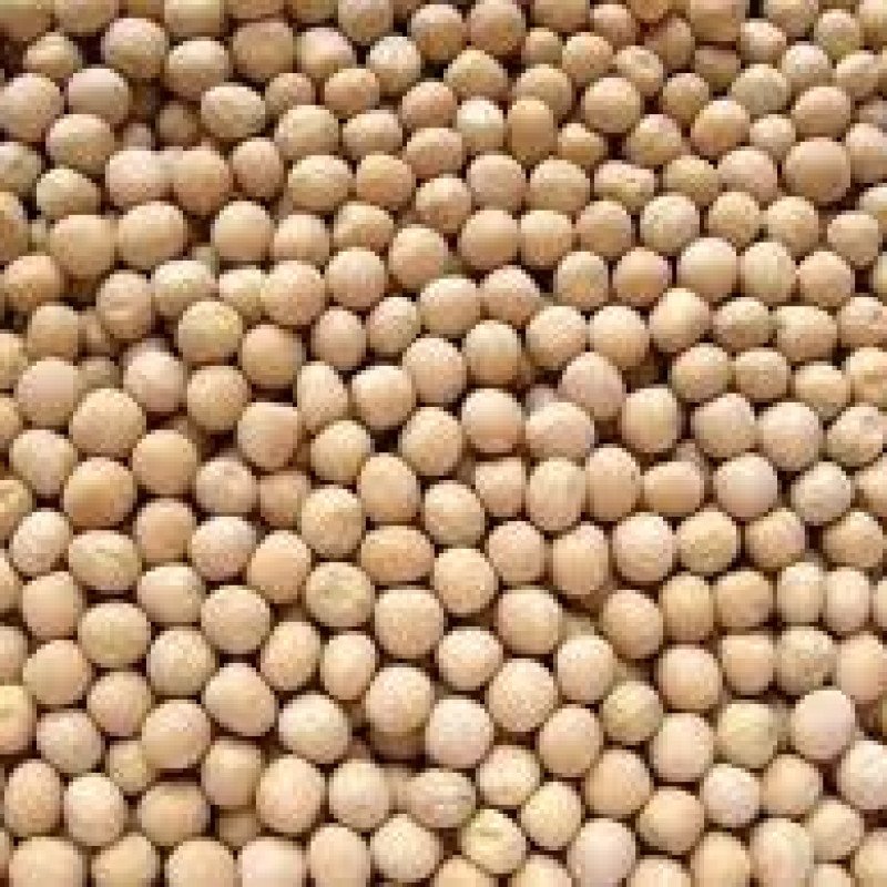 Matar khadi 1KG