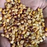 Arahar daal desi chilka 1KG